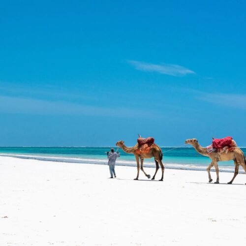 10 Days / 9 Nights Kenya Safari & Beach Holiday
