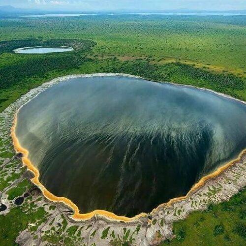 12 Days / 11 Nights Tanzania & Kenya Safari Circuit (Via Namanga Border)