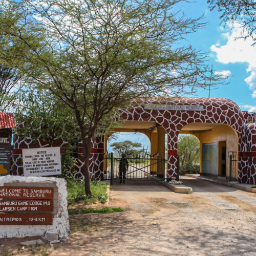 3 Days / 2 Nights Samburu Fly-In Safari