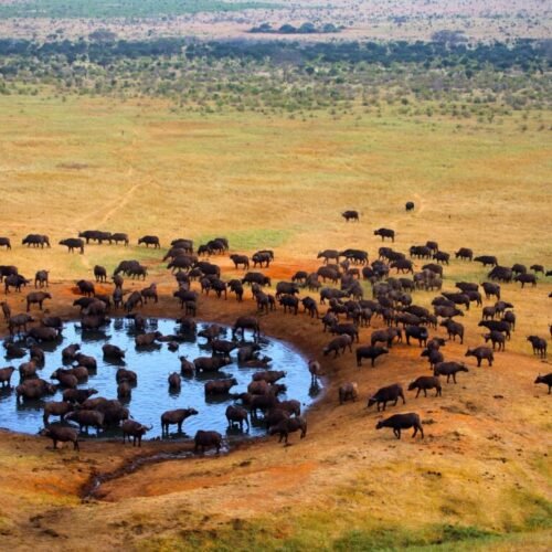 8 Days / 7 Nights Amboseli, Tsavo West & Diani Beach Safari